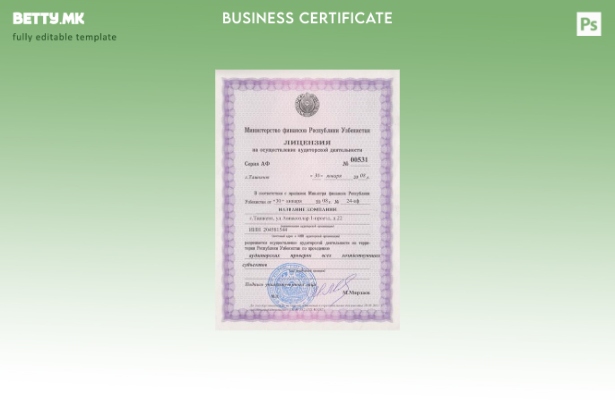 Шаблон за деловна лиценца од Узбекистан во модерен стил